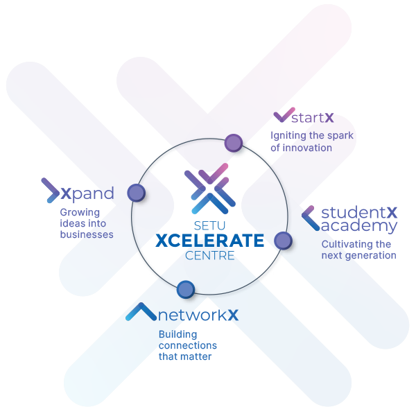 SETU XCELERATE CENTRE Pillars